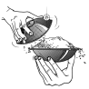 LE RIZ ET L’EAU