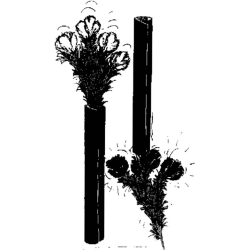 LES BOUQUETS CAMÉLÉONS