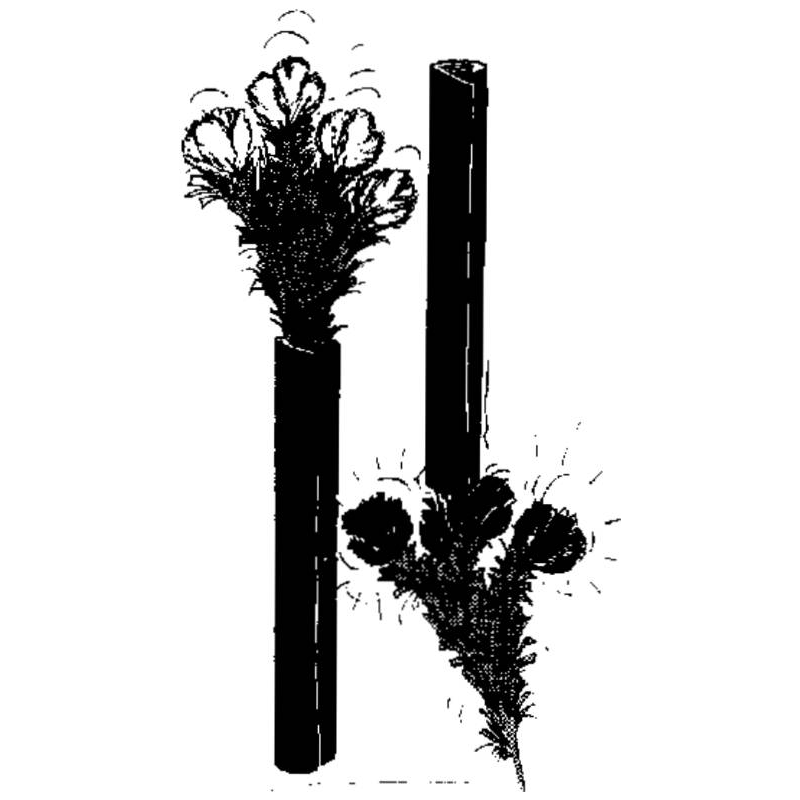 LES BOUQUETS CAMÉLÉONS
