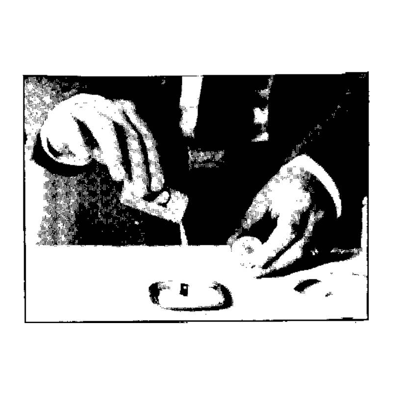 LA BAGUE DANS LA SALIÈRE
