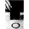 MIRROR-RING