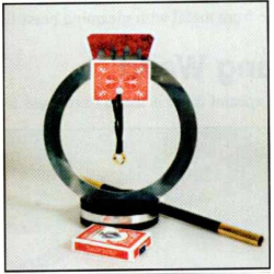 RING IN RING
