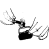 THE SILVER NUT